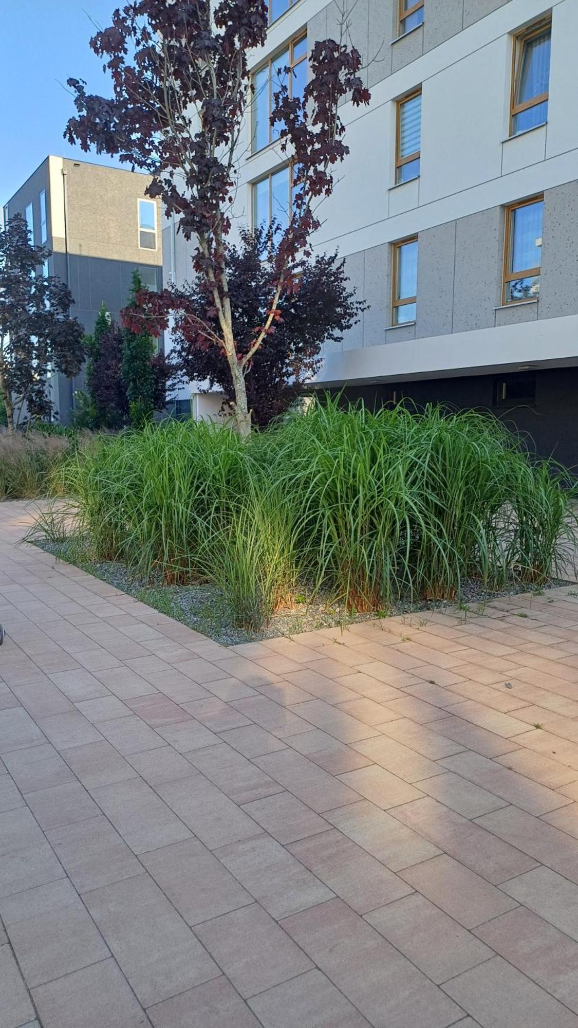 Apartament Davima Aquapark Rumia - Novum Eksteriør bilde